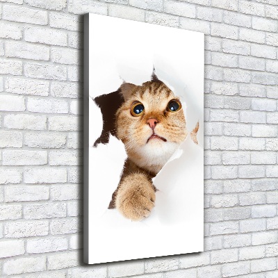 Tableau mural sur toile Chat