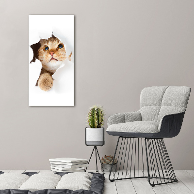 Tableau mural sur toile Chat