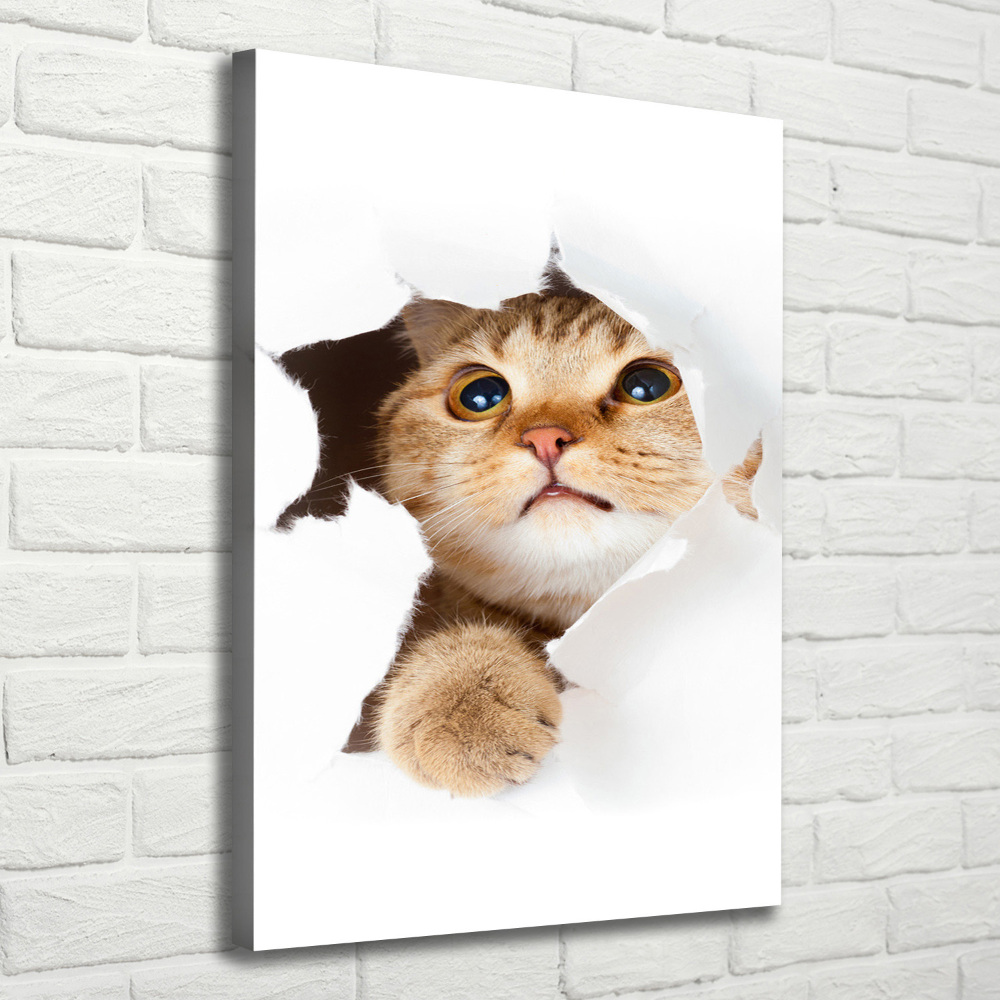 Tableau mural sur toile Chat