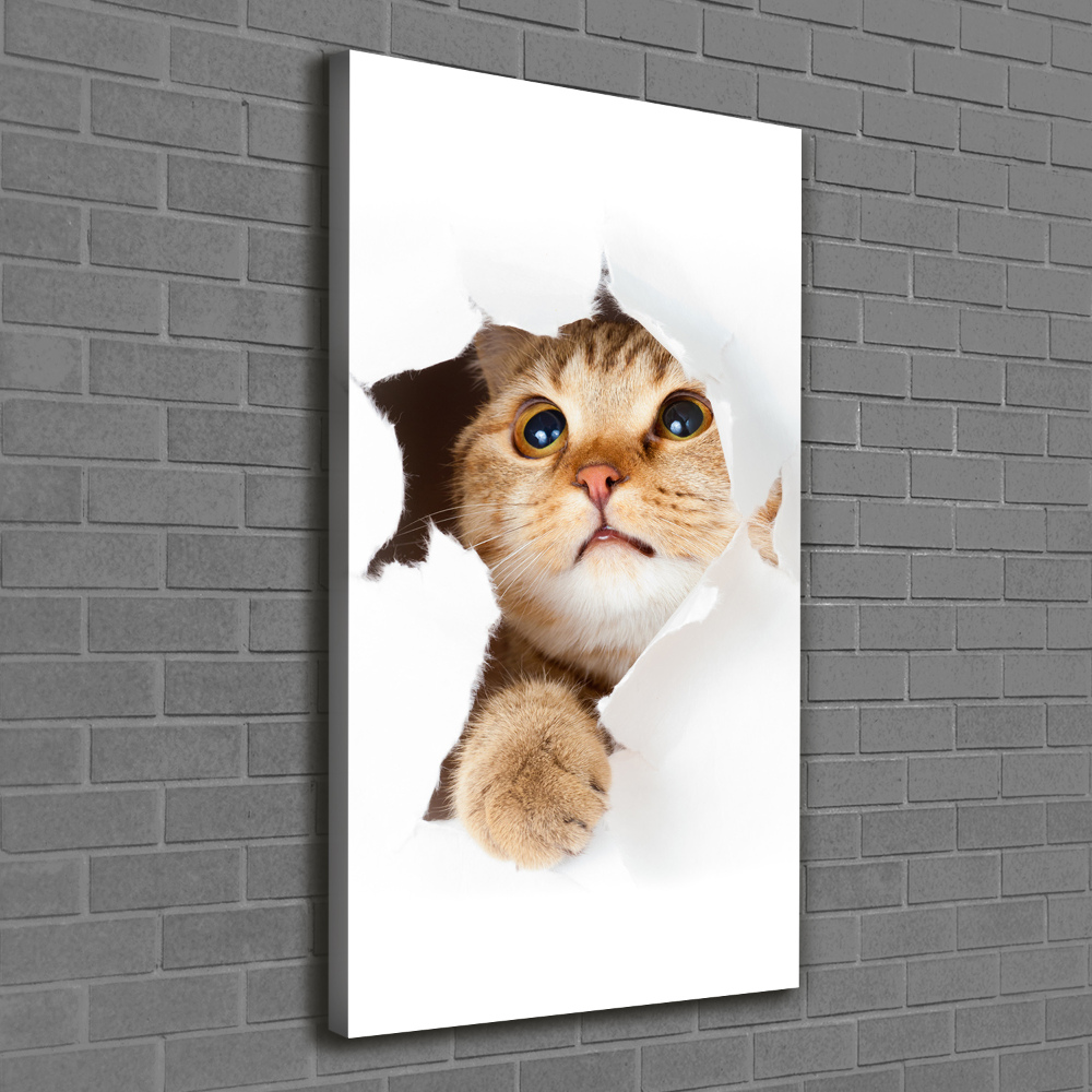 Tableau mural sur toile Chat