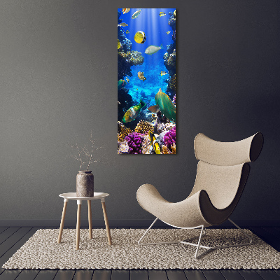 Tableau photo sur toile Récif de corail