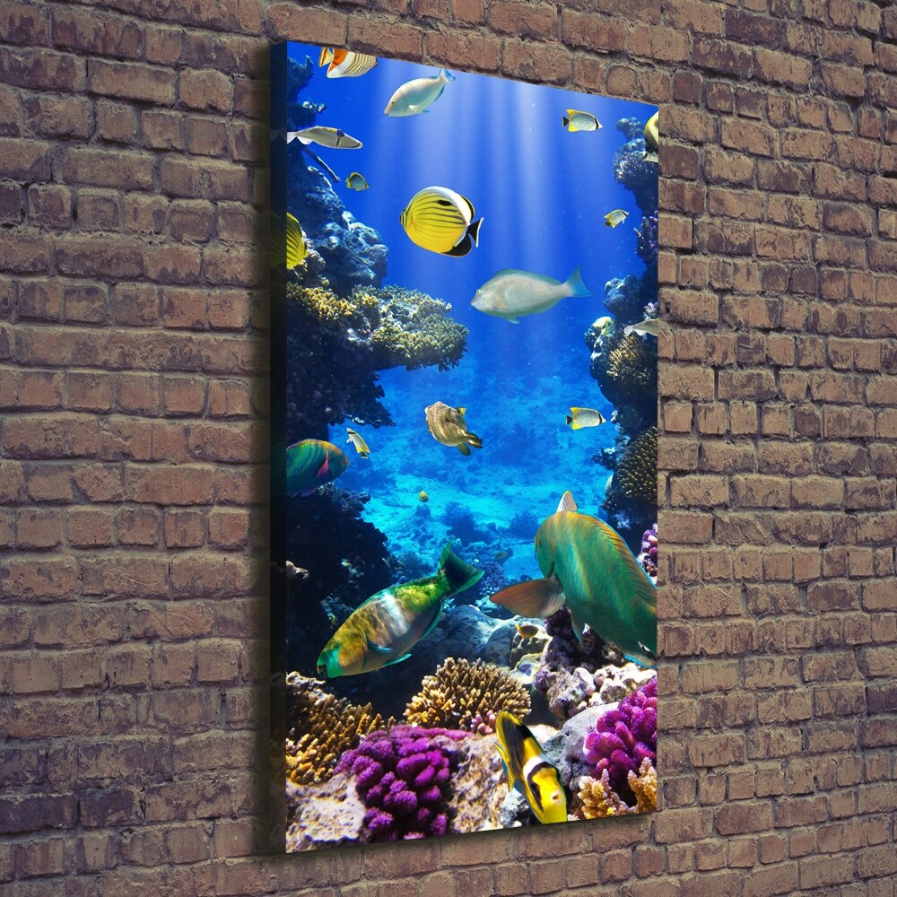 Tableau photo sur toile Récif de corail