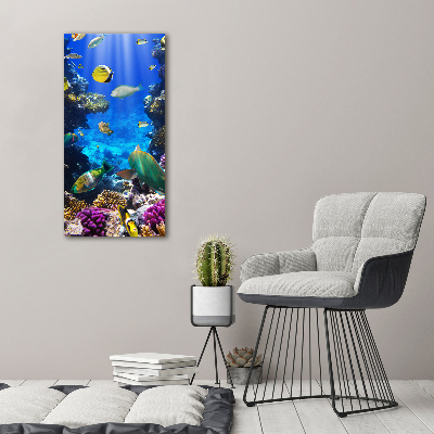 Tableau photo sur toile Récif de corail