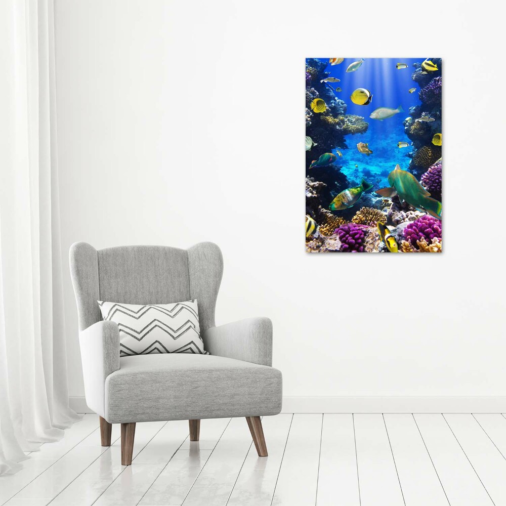 Tableau photo sur toile Récif de corail