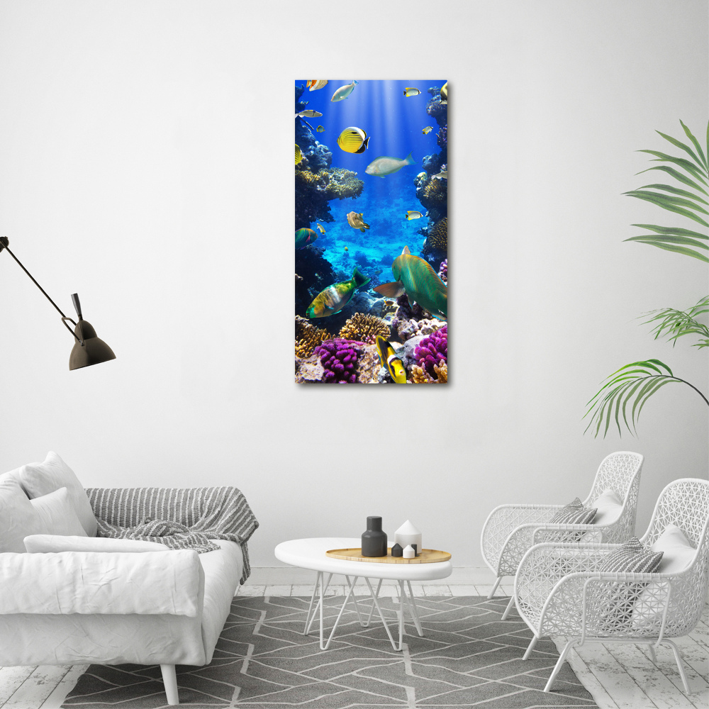 Tableau photo sur toile Récif de corail