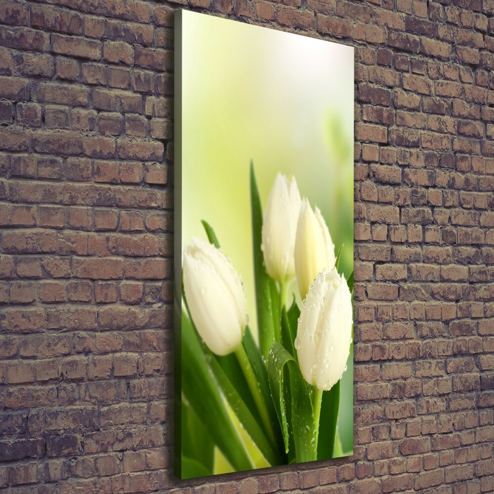 Tableau sur toile Tulipes blanches fleurs