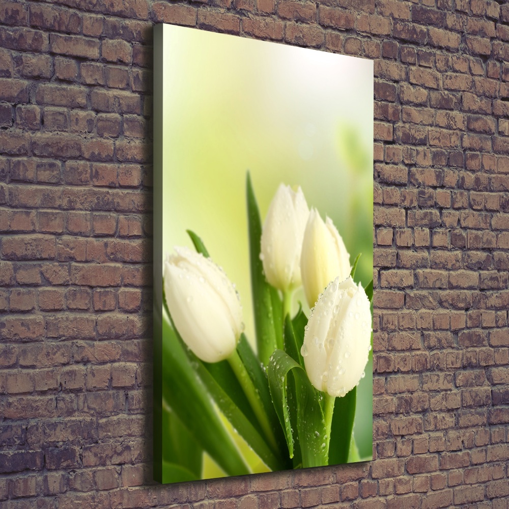 Tableau sur toile Tulipes blanches fleurs