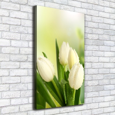 Tableau sur toile Tulipes blanches fleurs