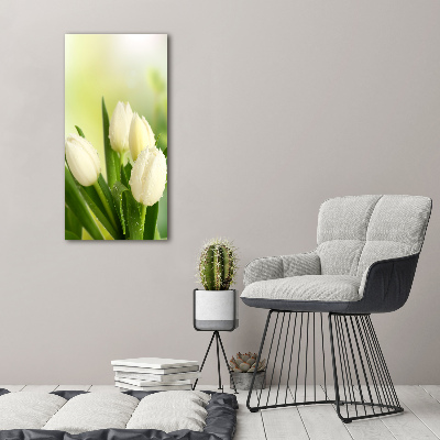 Tableau sur toile Tulipes blanches fleurs