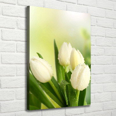 Tableau sur toile Tulipes blanches fleurs