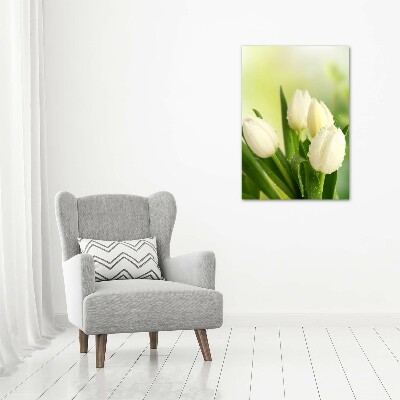 Tableau sur toile Tulipes blanches fleurs