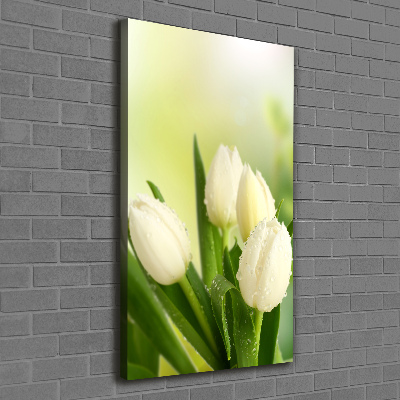 Tableau sur toile Tulipes blanches fleurs