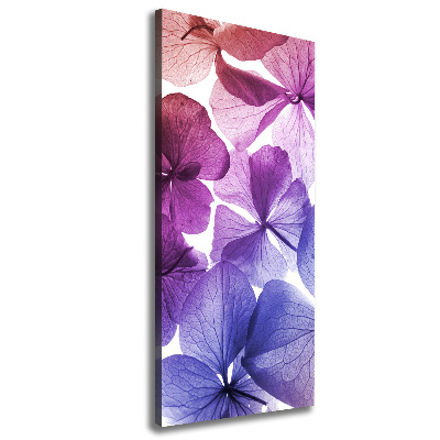 Tableau photo sur toile Fleurs violettes