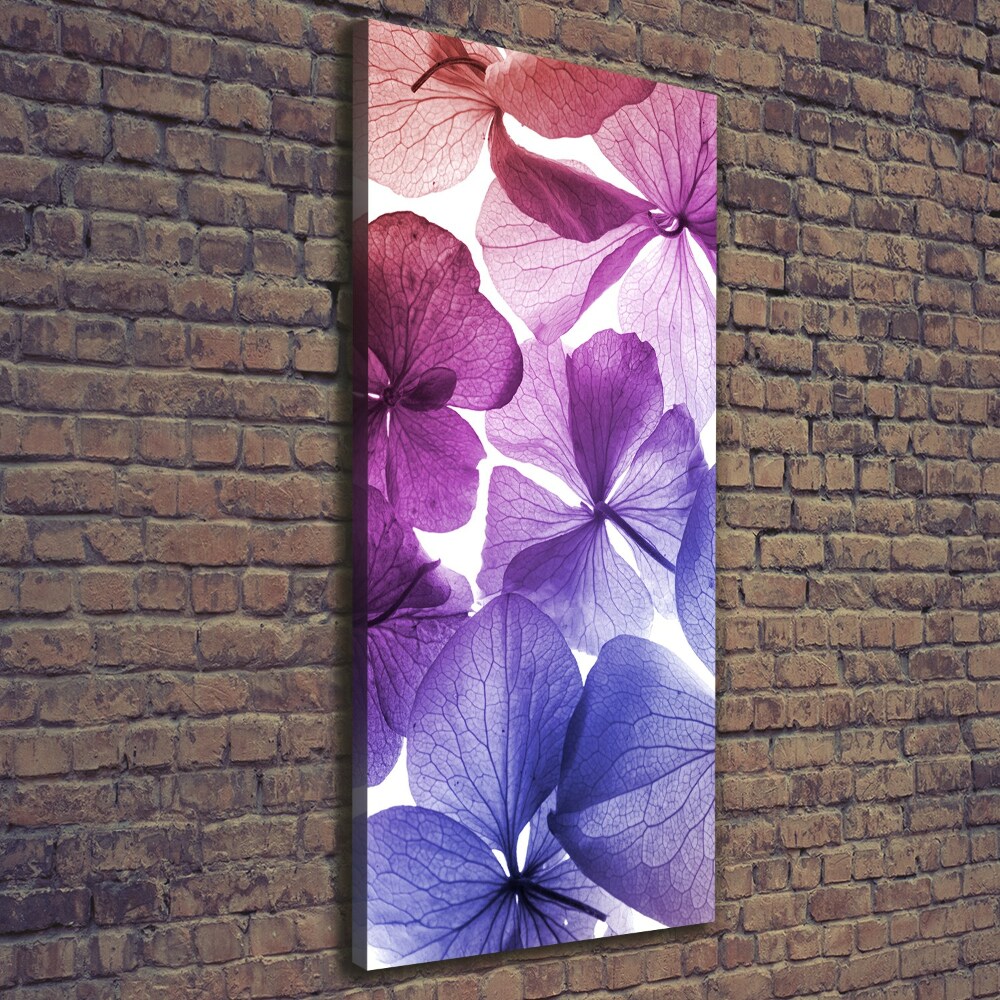 Tableau photo sur toile Fleurs violettes