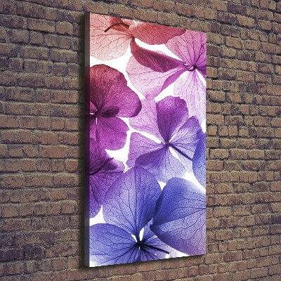 Tableau photo sur toile Fleurs violettes