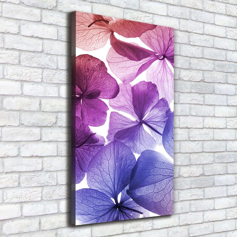 Tableau photo sur toile Fleurs violettes