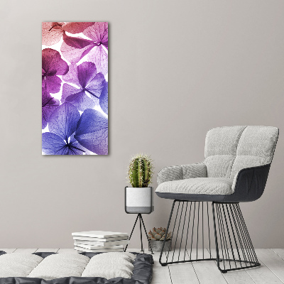 Tableau photo sur toile Fleurs violettes