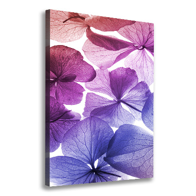 Tableau photo sur toile Fleurs violettes