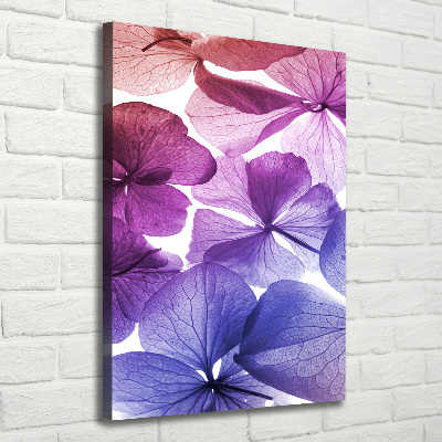 Tableau photo sur toile Fleurs violettes