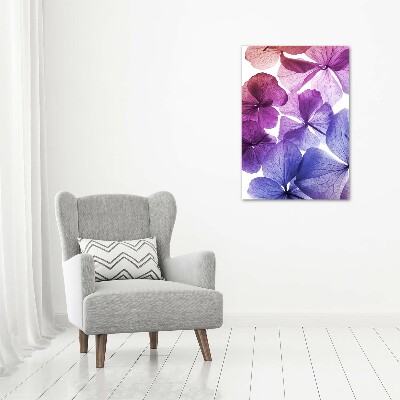 Tableau photo sur toile Fleurs violettes