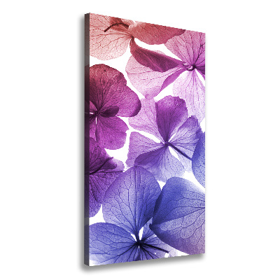 Tableau photo sur toile Fleurs violettes