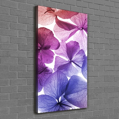 Tableau photo sur toile Fleurs violettes