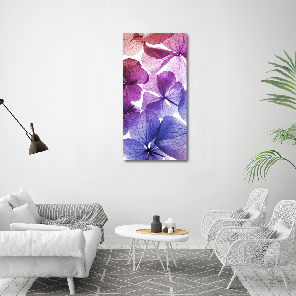 Tableau photo sur toile Fleurs violettes