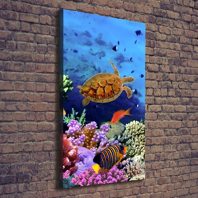 Tableau toile imprimée Récif de corail