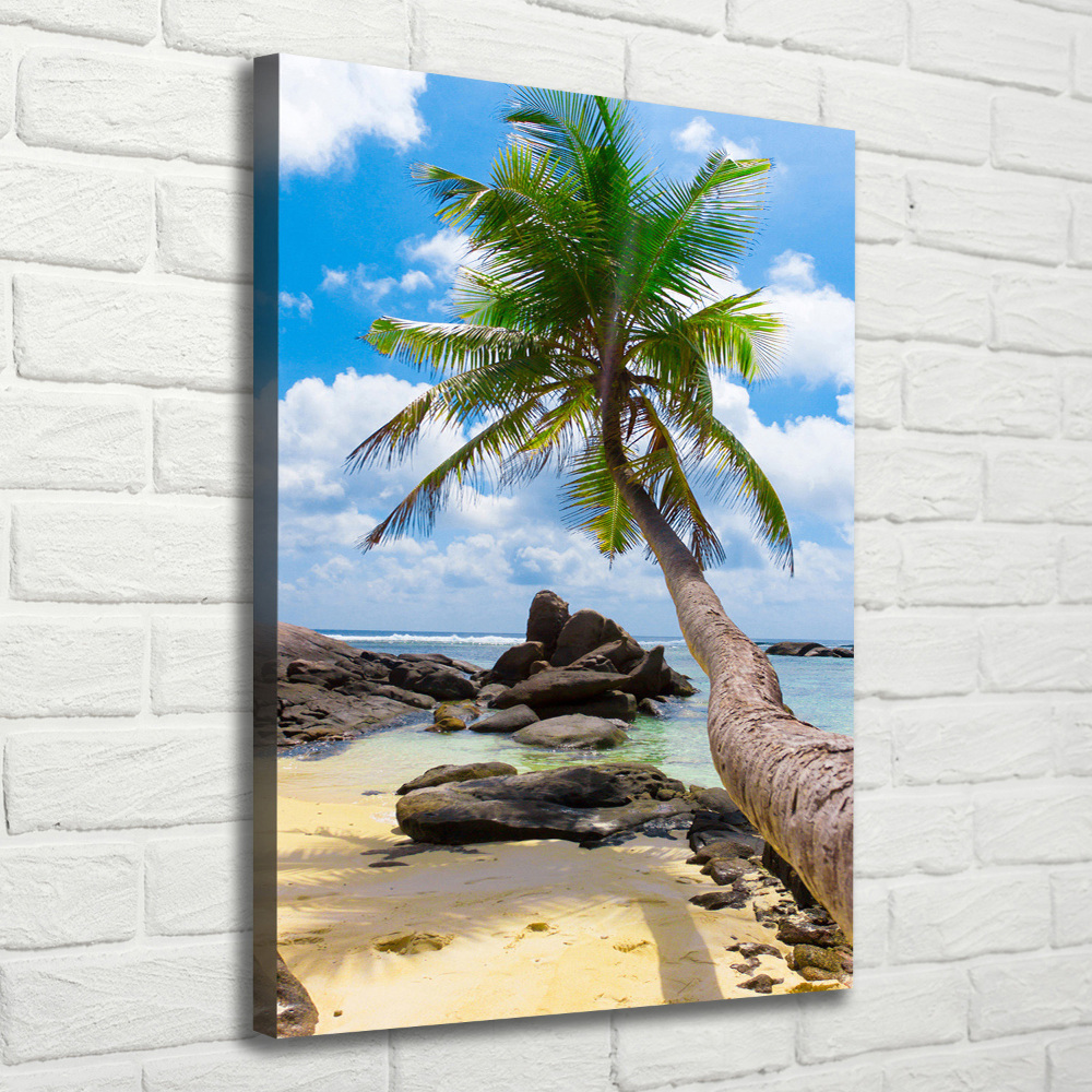 Tableau mural sur toile Plage exotique