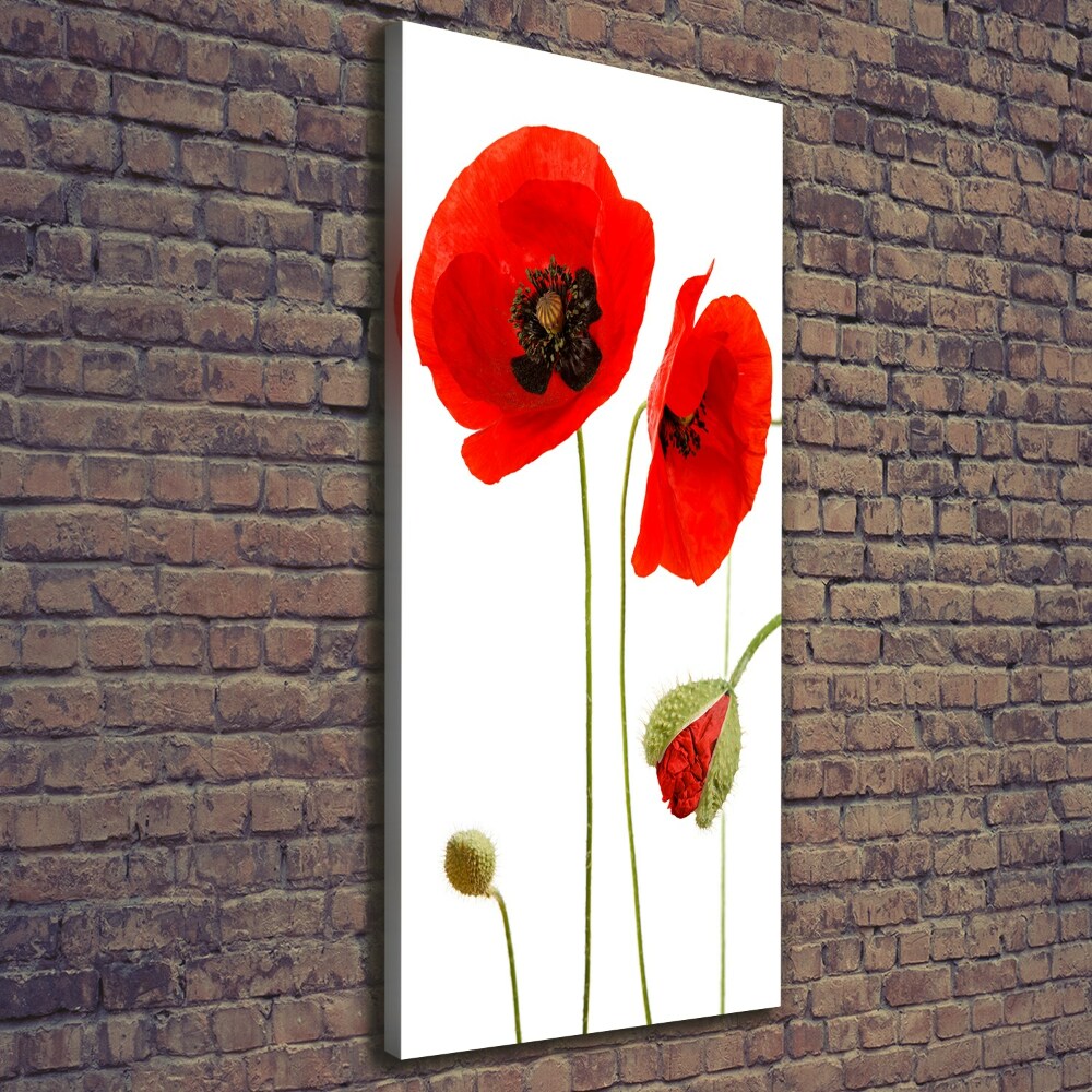 Tableau toile imprimée Fleurs de coquelicots rouges