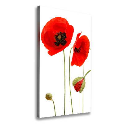 Tableau toile imprimée Fleurs de coquelicots rouges