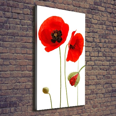 Tableau toile imprimée Fleurs de coquelicots rouges