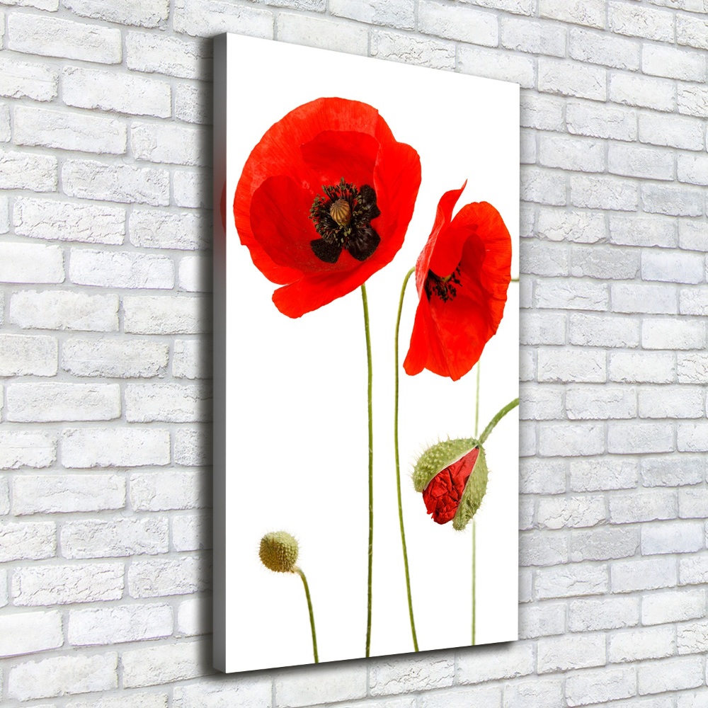 Tableau toile imprimée Fleurs de coquelicots rouges