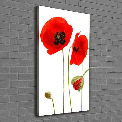 Tableau toile imprimée Fleurs de coquelicots rouges