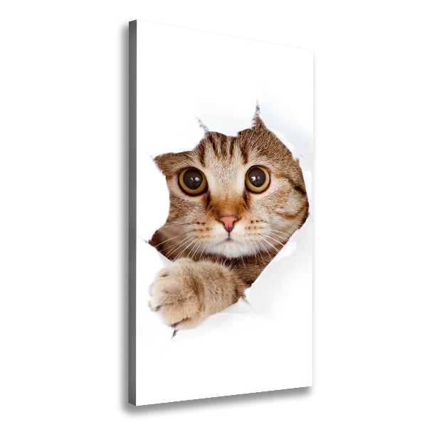 Chat