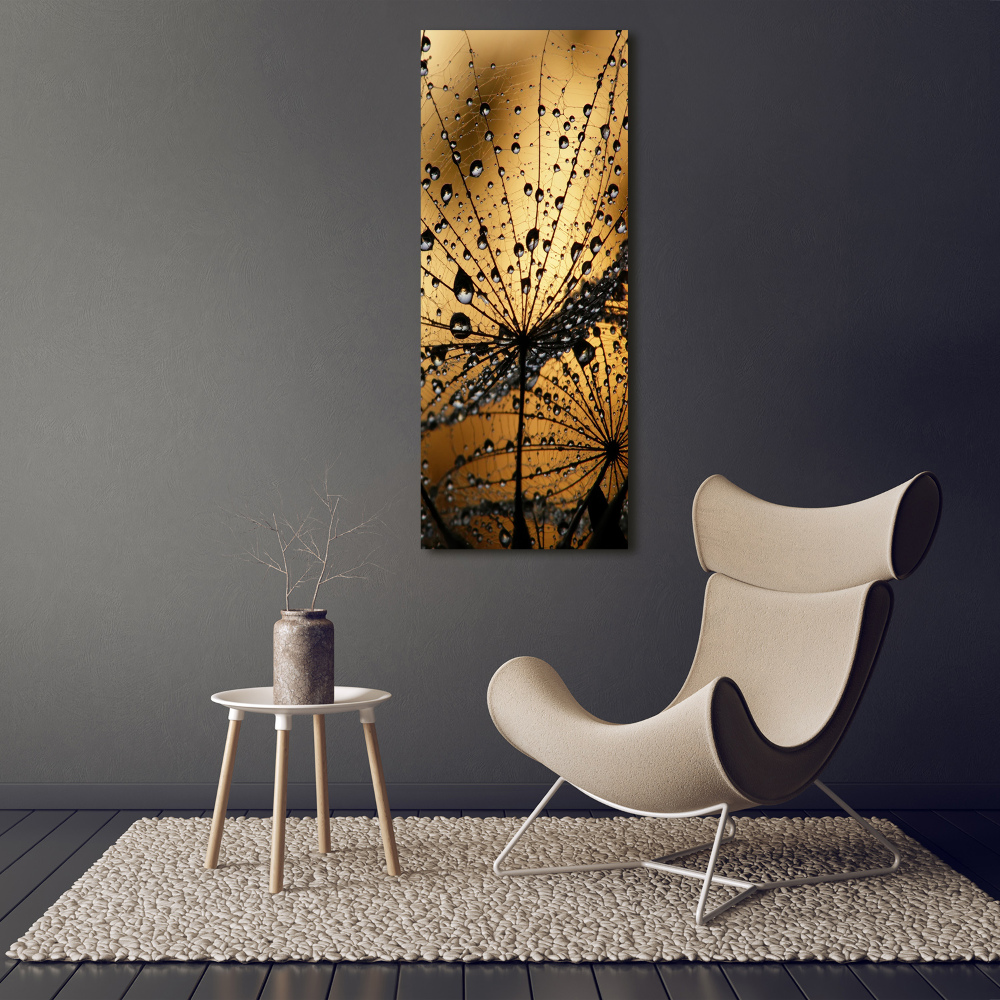 Tableau photo sur toile Graines de souffleur