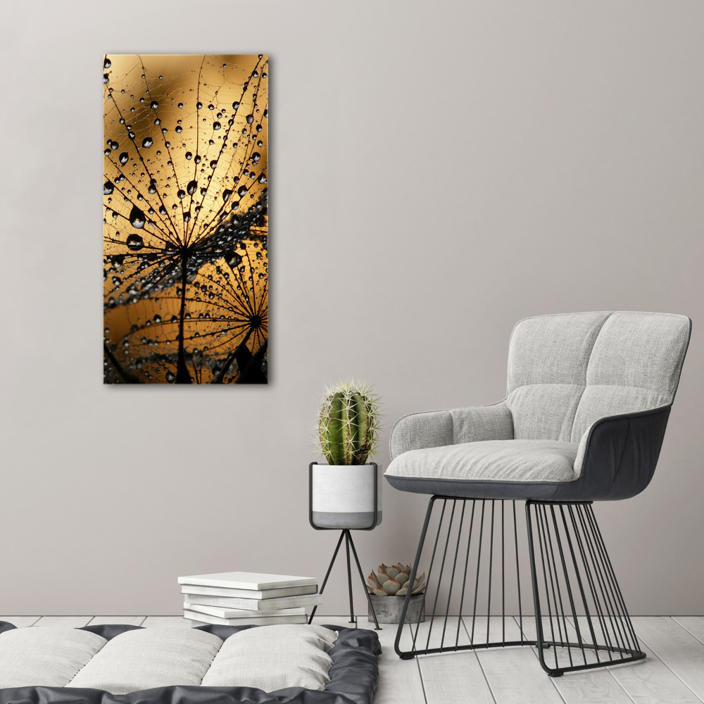 Tableau photo sur toile Graines de souffleur