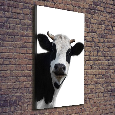 Tableau imprimé sur toile Vache latine