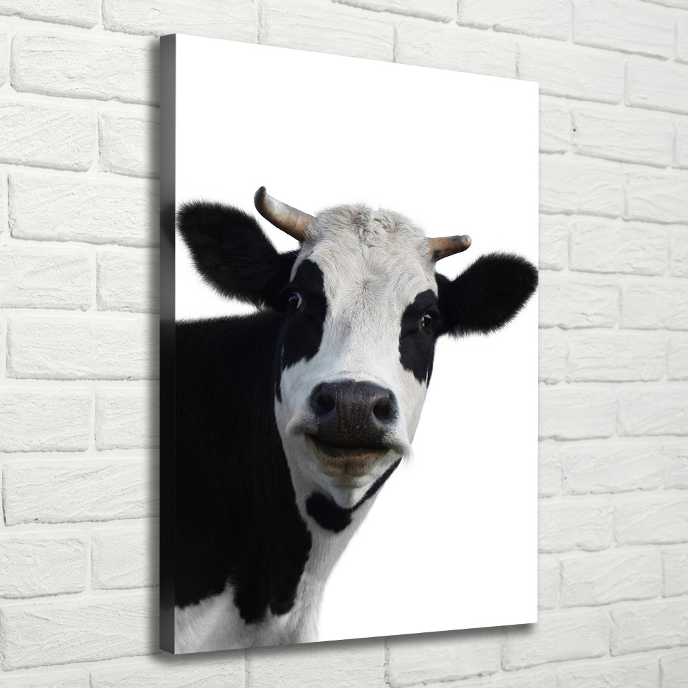 Tableau imprimé sur toile Vache latine