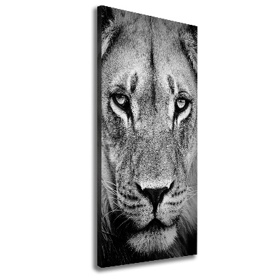 Tableau mural sur toile Portrait de lion