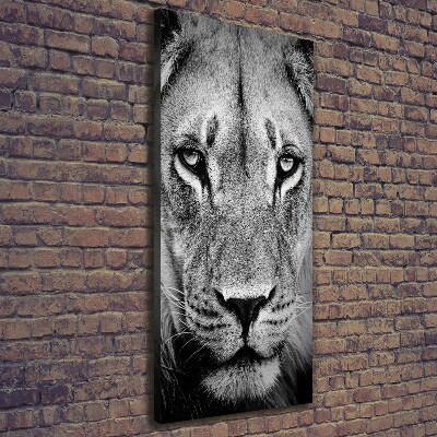 Tableau mural sur toile Portrait de lion