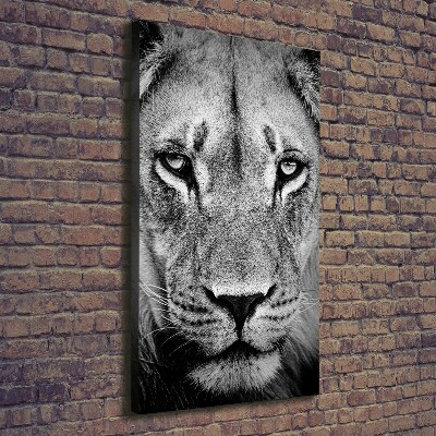 Tableau mural sur toile Portrait de lion