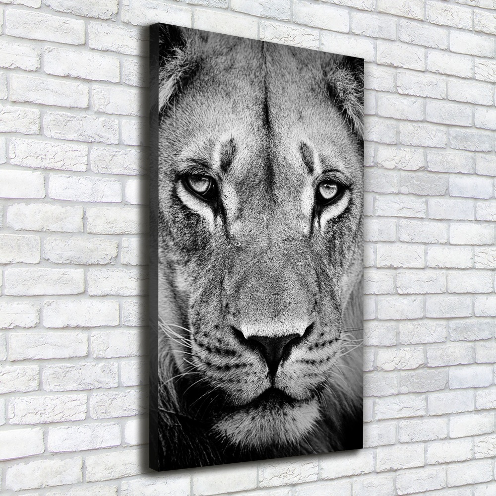 Tableau mural sur toile Portrait de lion