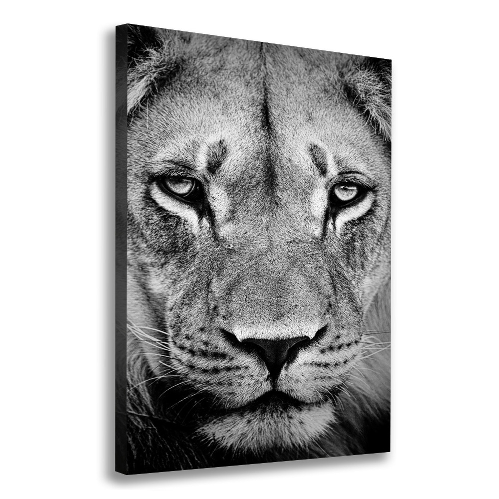 Tableau mural sur toile Portrait de lion