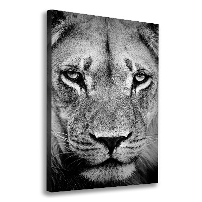 Tableau mural sur toile Portrait de lion