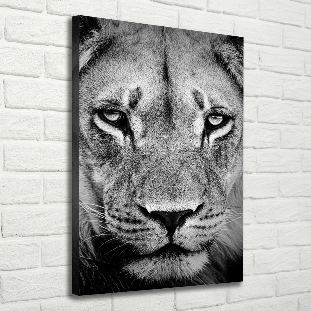 Tableau mural sur toile Portrait de lion