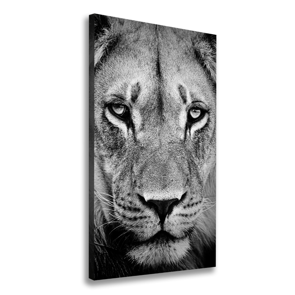 Tableau mural sur toile Portrait de lion