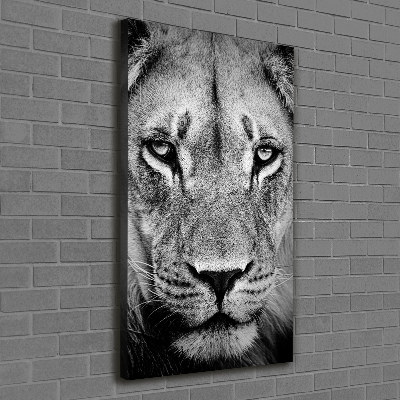 Tableau mural sur toile Portrait de lion