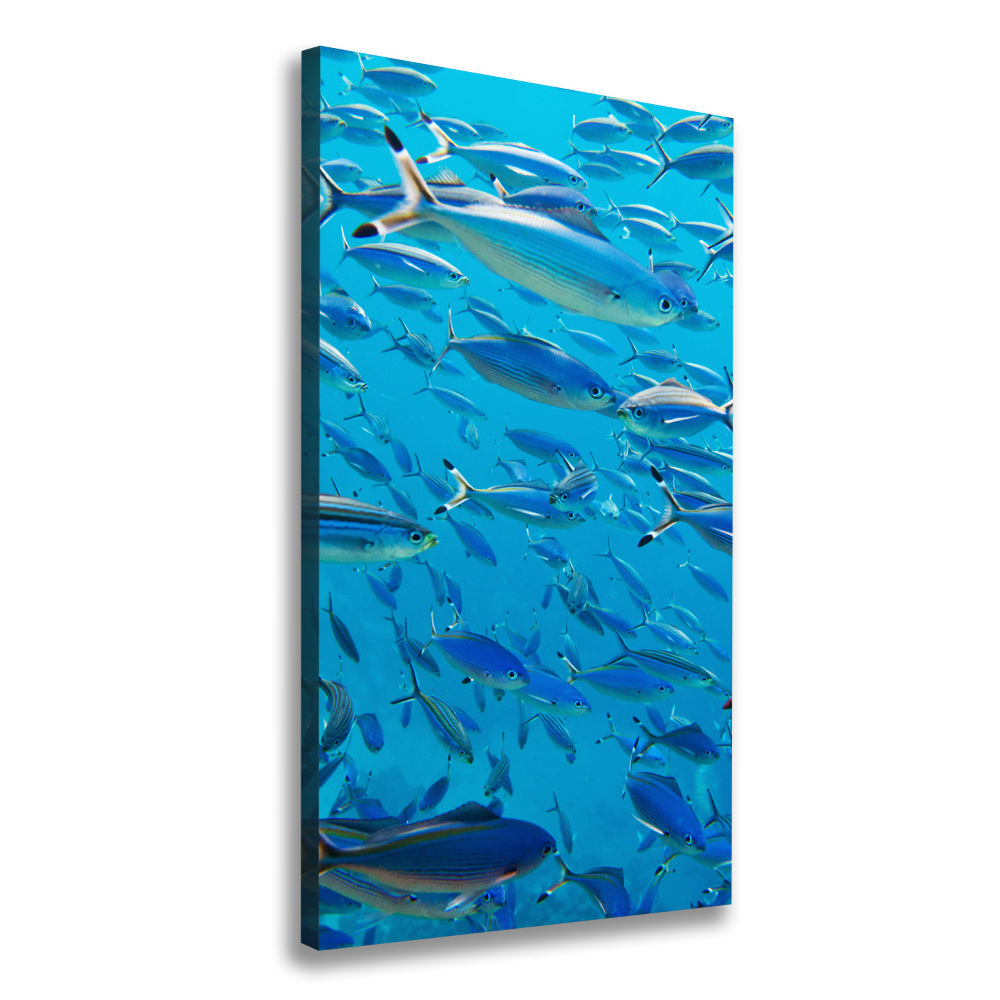 Tableau sur toile Poisson corail