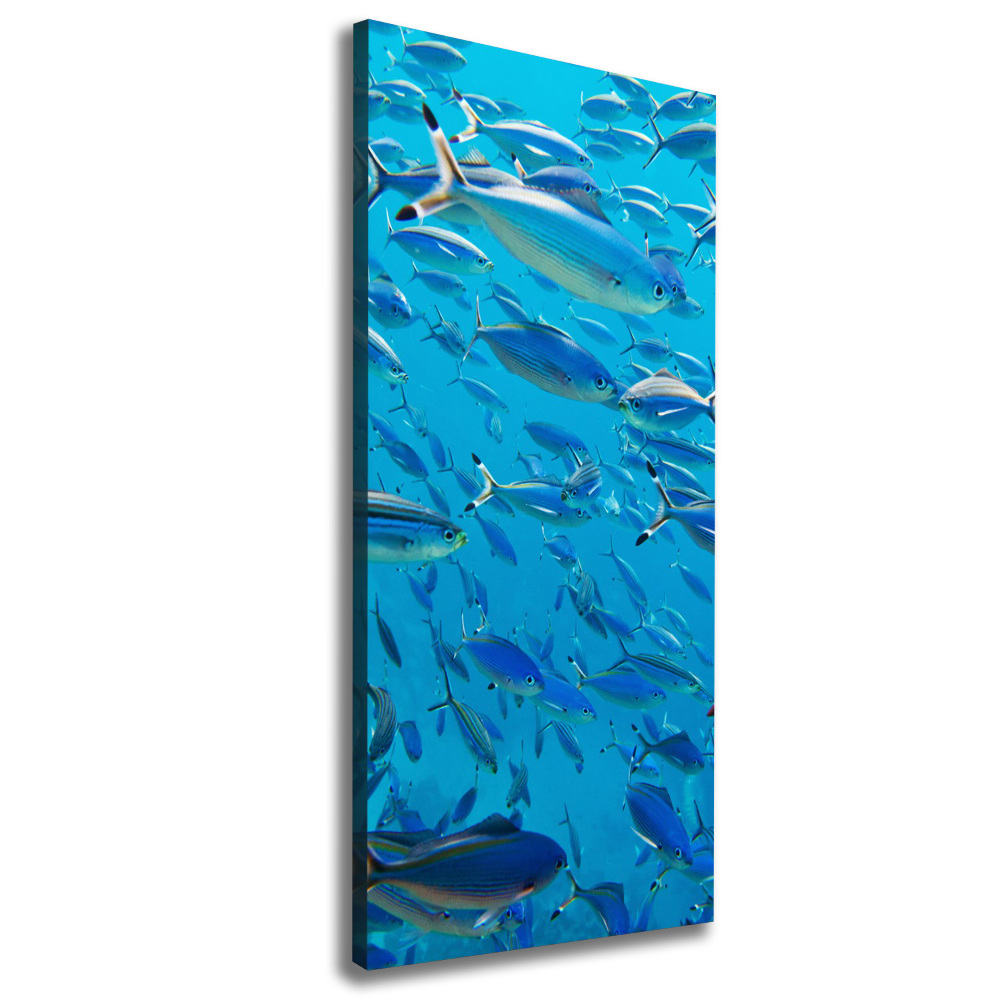 Tableau sur toile Poisson corail